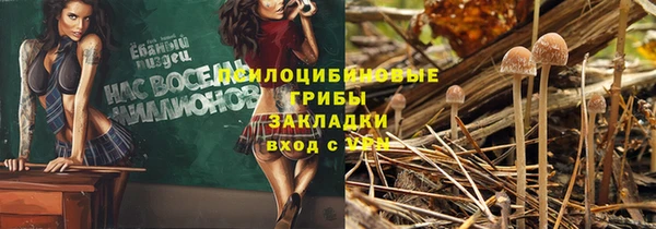 прущие крисы Краснослободск