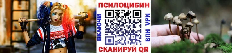цены   Нижневартовск  Галлюциногенные грибы прущие грибы 