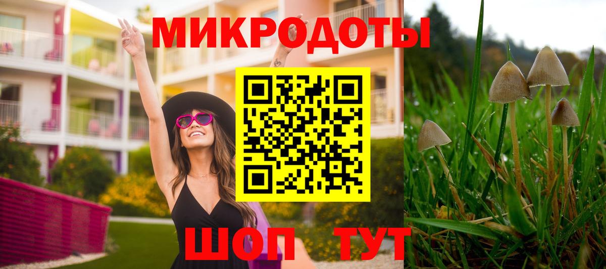 Псилоцибиновые грибы Psilocybe Нижневартовск
